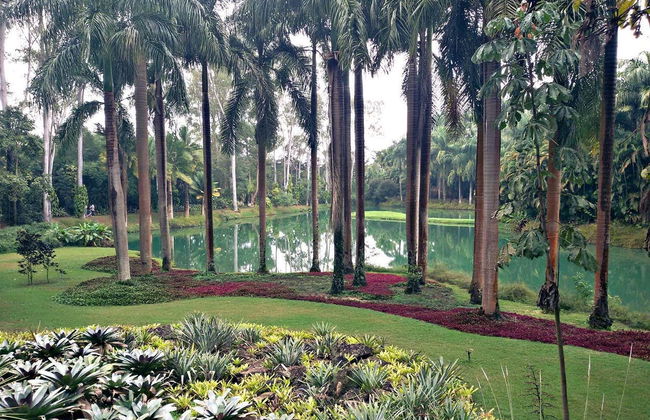 Excursión al Instituto Inhotim - Foto 1