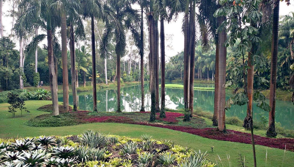 Beleza natural de Inhotim