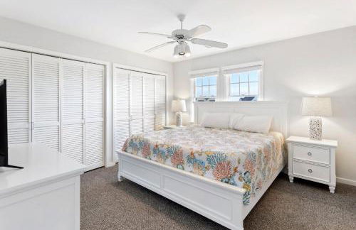 CAC-23B - Zebrafish - Foto 26