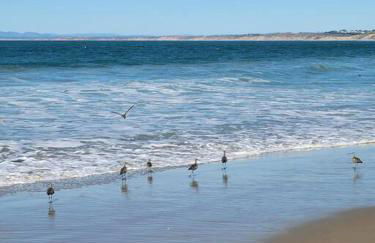 Goarges Tiny Home! - Foto 24