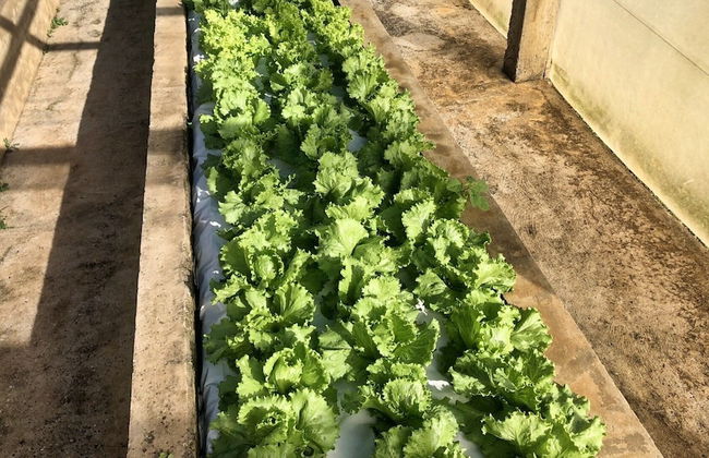 Casa de Campo Ideal para Famílias e Amigos - Photo 46