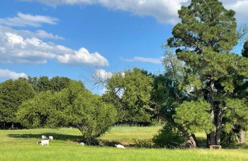 Hidden Meadow - rustic hideaway - Foto 39