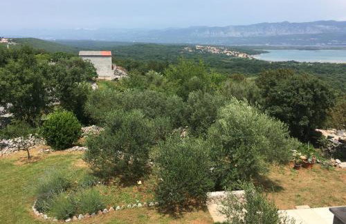 Apartments Wagner - Photo 10