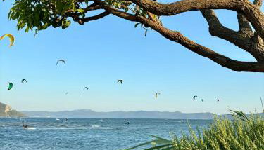 Studio Calma - Foto 5