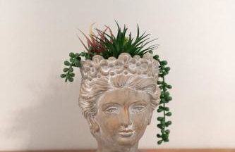 Katherine Home - Foto 64