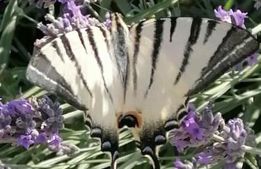 Agriturismo Susanna e Atria - Foto 48