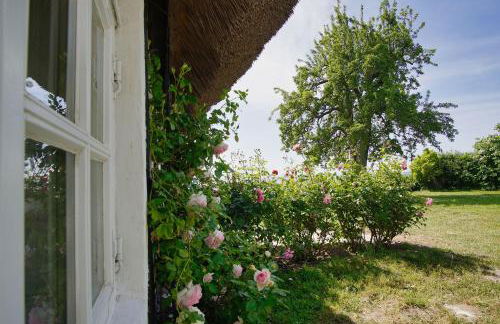 strandnahe Idylle am Meer, private Badestelle mit Strandkorb - Gutshof Ostseeblick FeWo Nr 04 - Photo 14