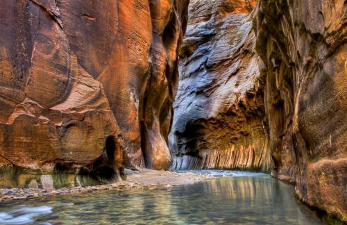 Traveler's Rest home - Foto 5