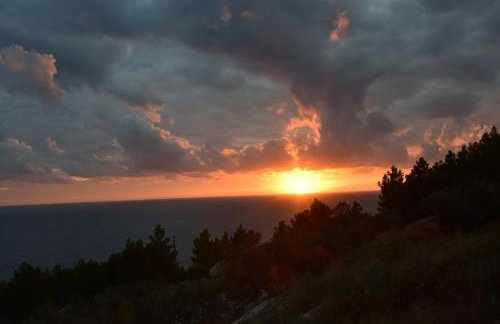 Holiday Home Babič - Foto 18