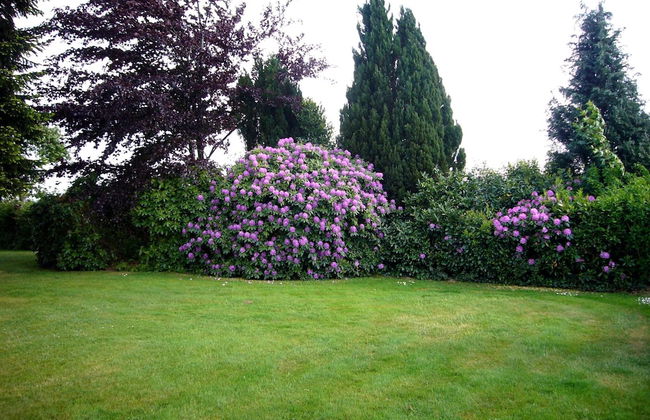 Spacious Apartment in Leopoldshöhe near Teutoburg Forest - Foto 31