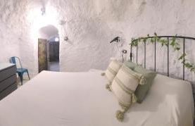 CASA CUEVA A-TIPICA - Foto 27