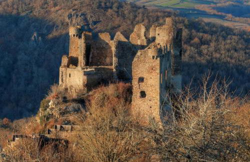 Les Gites de Louisette Le 974 - Foto 29