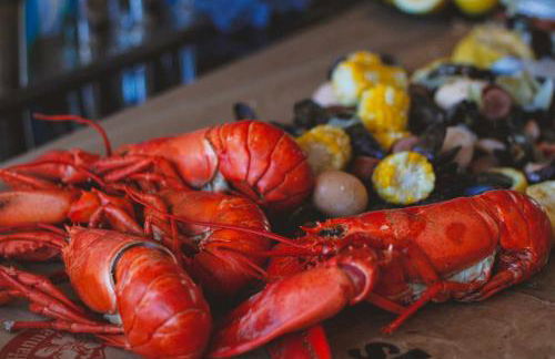 Bear Mountain Lodge. 560 Acre Wooded Estate. - Foto 33