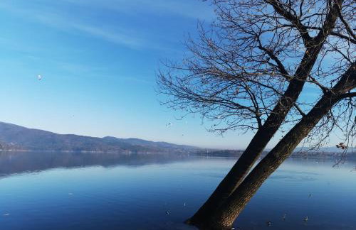 Sielanówek - Orzechowa Chatka z sauną wanną termalną jacuzzi - Foto 51