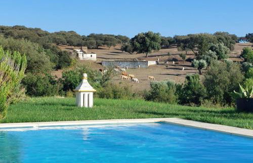 Casa dos Sobreiros - Foto 10