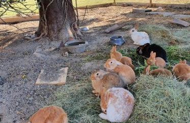 Cocon familial à la ferme - Foto 24