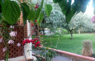 La Casa Dell'antiquario - Foto 10