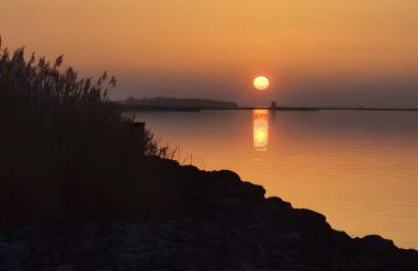 Urlaub unterm Reetdach - Foto 30