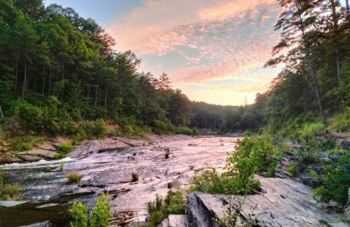 Heart O' Texas - Photo 34