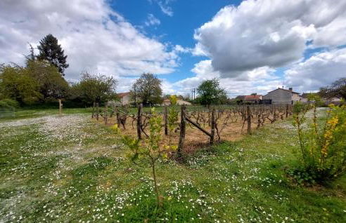 Holiday Gite On A Vineyard - Foto 12