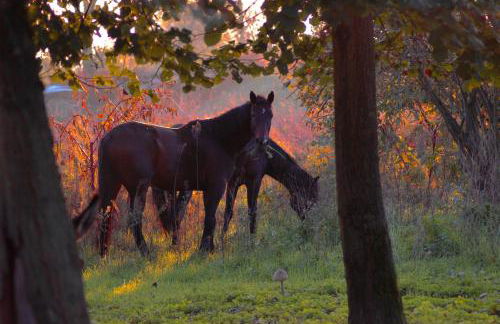 Agriturismo I Leprotti - Photo 64