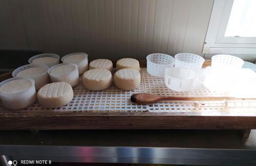 Agriturismo Paneolio - Foto 25