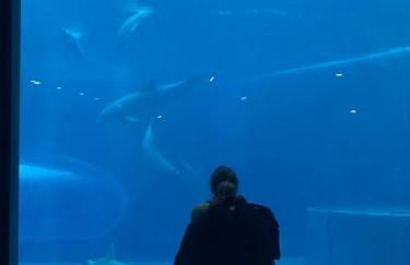 Glimpse of Paradise Beach with Parking - Foto 27