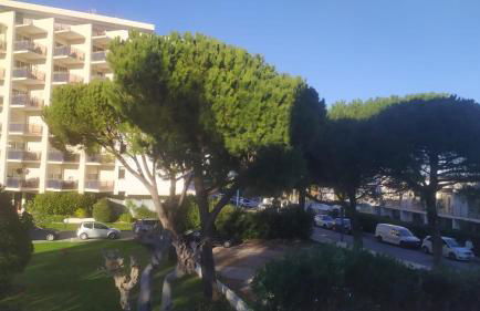 Romance Marine , face à la mer - Foto 39