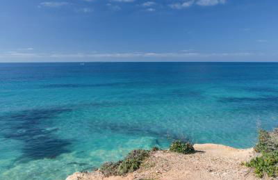 Ale house experience - Foto 65