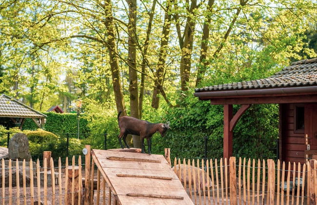 Tidy Furnished Chalet With a Dishwasher - Foto 32