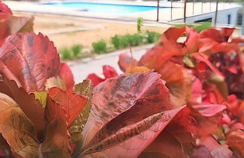 Flat Térreo em Meio a Natureza - Foto 45