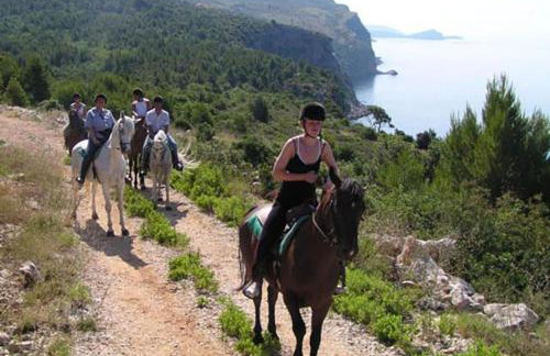 Apartments Grand Pinea - Photo 30