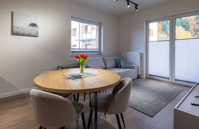 Apartamenty Sun & Snow River Park - Photo 33