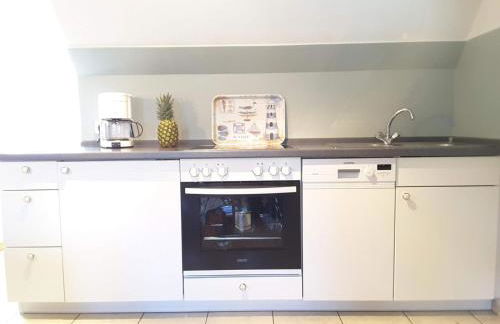 Seepferdchen - Foto 9