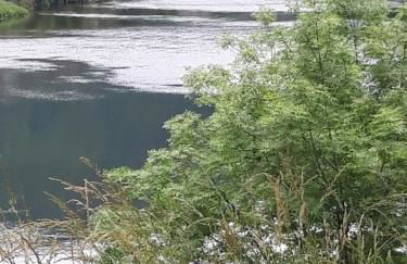 Suite avec vue panoramique sur la Truyère - Photo 17
