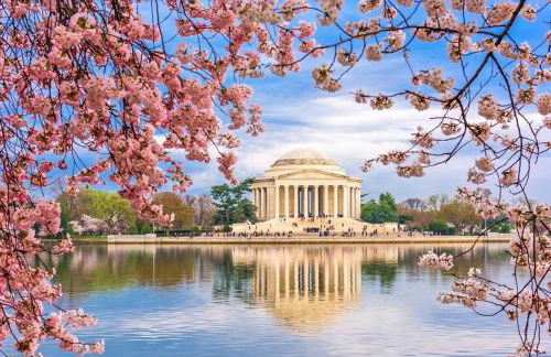 Luxury 3BR & Parking in Central DC - Steps to Metro - Foto 25