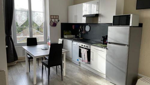 Appart meublé 45m2 calme et lumineux au Continental - Foto 4