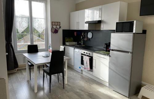 Appart meublé 45m2 calme et lumineux au Continental - Foto 4