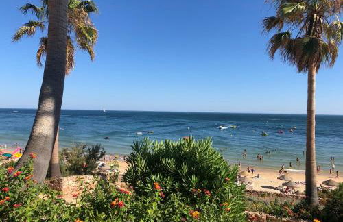 Vila Luisa Anabela Piscine et Jacuzzi - Foto 48