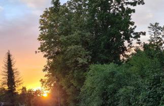 Haus im Gruenen - Foto 14