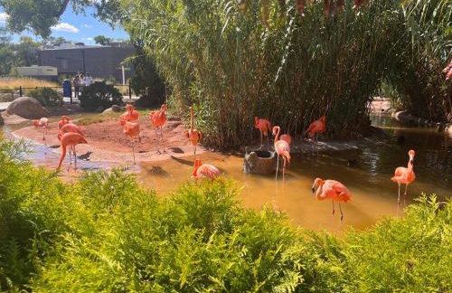 Saguaro at Cactus Flower-HOT TUB-Pet Friendly-No Pet Fees! - Foto 57