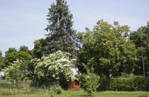 Ferienwohnungen Maijeschhof - Foto 16