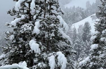 Chalet Tschattlhof Dolomites - Foto 14