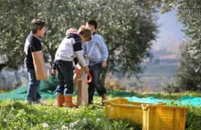 Agriturismo Funtan'Arva - Foto 23