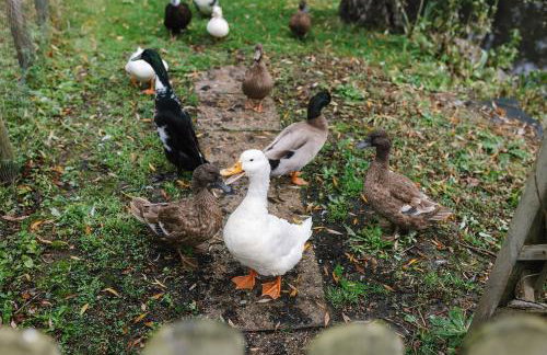 The Granary Smeeth - Foto 5