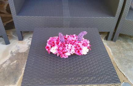 Cozy studio in Valencia de Alcántara 25 m² lovely garden - Foto 36