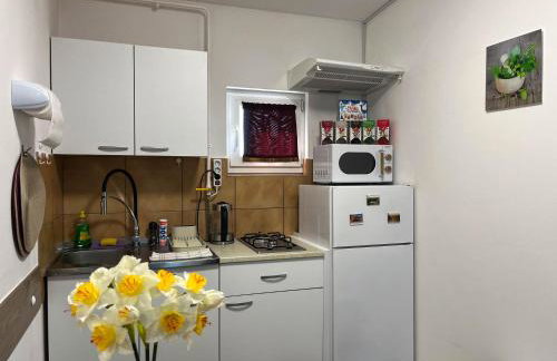 Apartmani MOSLAVINA i parking - Foto 30