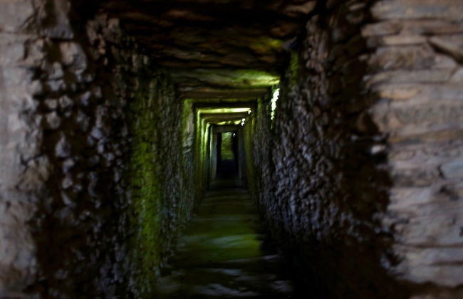 HN Gaviota - Photo 31