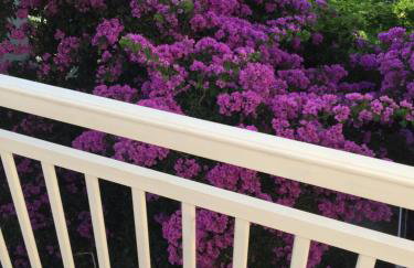 Apartments Iva Orebic - Foto 10