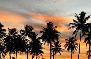 Casa beira mar - Carneiros (30’ de carro) - Photo 39